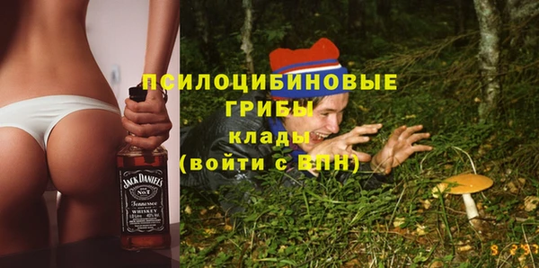 ПСИЛОЦИБИНОВЫЕ ГРИБЫ Богданович