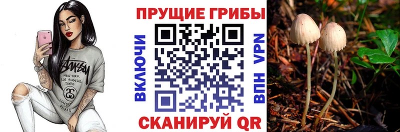 Псилоцибиновые грибы Magic Shrooms Белоозёрский